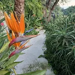 Rez De Avec Piscine *